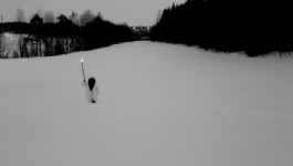 THISOTHER